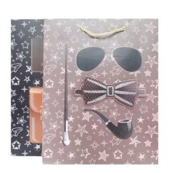 Gift Bags 3D Fathers Day Md Asst-wholesale