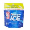 Dentyne Ice Gum 20pc Pouch Peppermint-wholesale