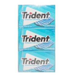 Trident Gum 14ct Wintergreen Singles-wholesale