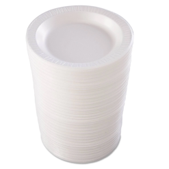 Foam Plates Plain 10in 125ct-wholesale