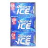 Dentyne Ice Gum 16ct Perppermint-wholesale
