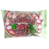 C & T Starlite Mint Candy 12oz Bag-wholesale