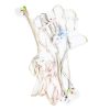 Pet Dog Leash & Collar Asst Clrs-wholesale