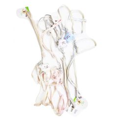 Pet Dog Leash & Collar Asst Clrs-wholesale