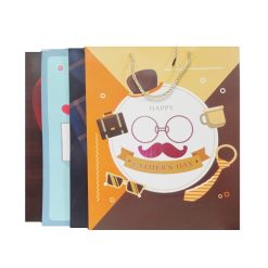 Gift Bags Fathers Day Md Asst-wholesale