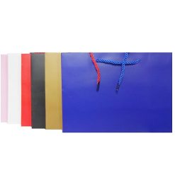 Gift Bags Rectangular Smll Asst Clrs-wholesale