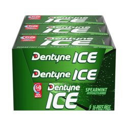 Dentyne Gum 16pc Spearmint-wholesale