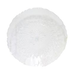 Party Tray Round Plastic 16.5 Clear-wholesale