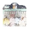 Pet Collar Asst Clrs-wholesale