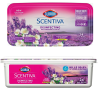 Clorox Wet Mopping Cloths 24ct Lavender-wholesale