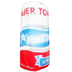 Blue Star Paper Towels 100ct 2-ply Ultra-wholesale