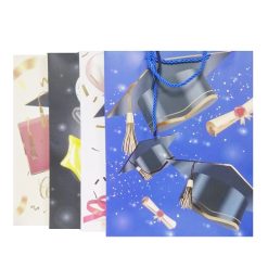 Gift Bags Graduation Md Asst-wholesale