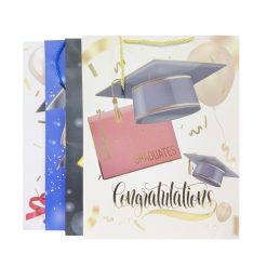 Gift Bags Graduation Lg Asst-wholesale