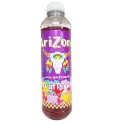 Arizona 20oz PET Fruit Punch-wholesale