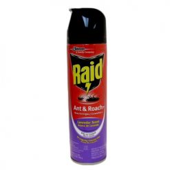 Raid Ant AND Roach 17.5oz Lavender
