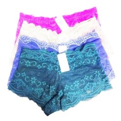 Women Lace Underwear Asst Clrs-wholesale