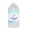 Valley Mist Water 1 Gl-wholesale