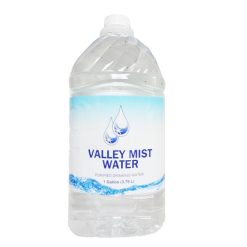 Valley Mist Water 1 Gl-wholesale