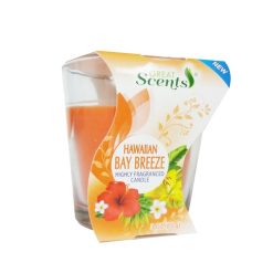 G.S Scented Candle 3oz Hawaiian Breeze-wholesale