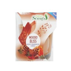 G.S Scented Candle 3oz Wooded Bliss-wholesale