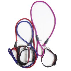 Pet Dog Leash Rope & Collar Asst Clrs-wholesale